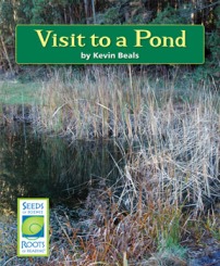 Visit to a Pond