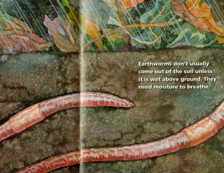 Earthworms breathe